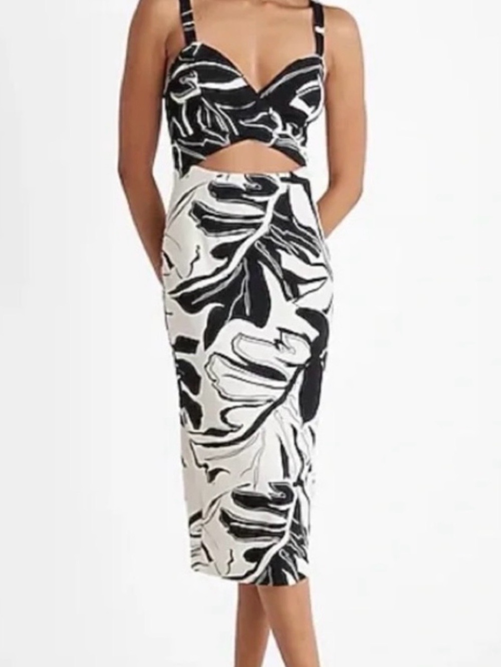 Express Black and White Floral Dress